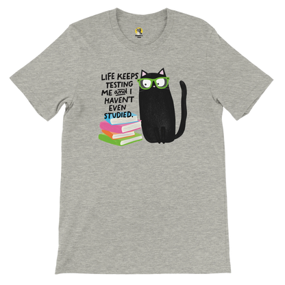 66ed4d8c-fb9e-40bf-806a-c8a15f7ecf8b