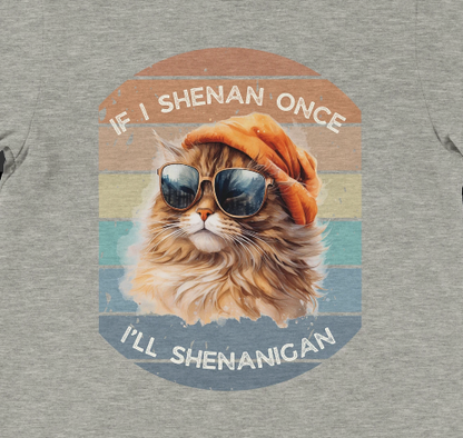 If I Shenan once, I'll Shenanigan.